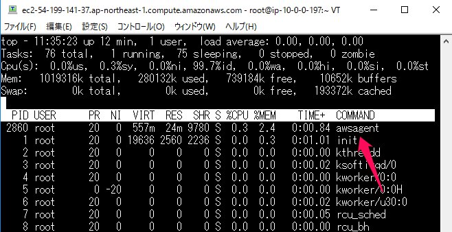 inspect19.jpg inspect19.jpg